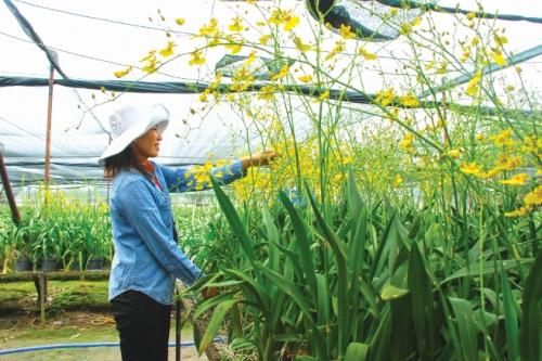 Tăng nguồn lực cho giảm nghèo bền vững