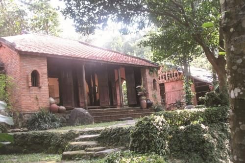 Bảo tàng Đồng Đình: Một địa chỉ văn hóa độc đáo