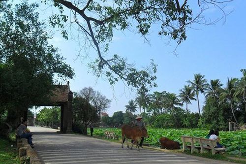 Hà Nội nâng cao hiệu quả bảo tồn và phát huy giá trị di tích Làng cổ ở Đường Lâm