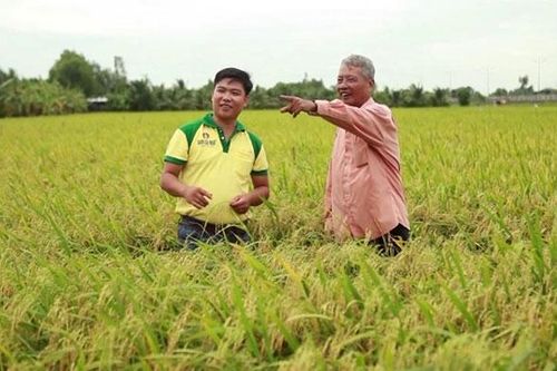 Tác động ngược của chính sách