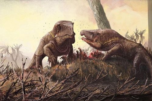 Quái vật cổ đại lai giữa cá sấu và rồng komodo