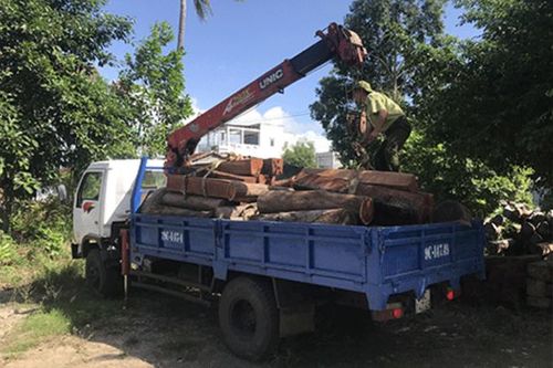 Phát hiện 30 khúc gỗ căm xe tập kết tại Buôn Tương