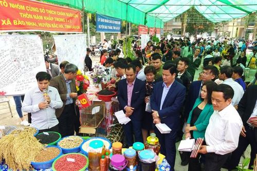 Giới thiệu các sản phẩm từ ý tưởng khởi nghiệp của phụ nữ nông thôn