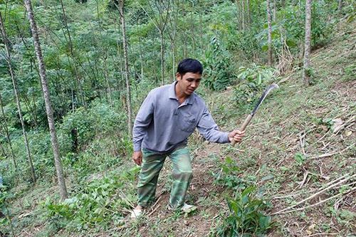 Mường Bang bảo vệ và phát triển rừng