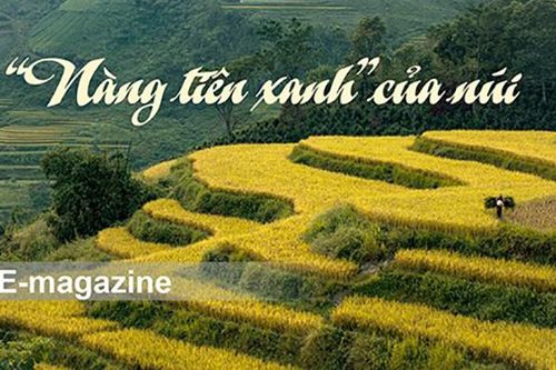 'Nàng tiên xanh' của núiKhoan nhặt thoi đưaCõng chữ lên ngànThắp sáng ước mơ của trẻ khuyết tậtNhững người thầm lặng giữ rừng Nặm TrangMùa cấp sắc ở Tân Thành Lâm Bình – Vẻ đẹp kỳ thú