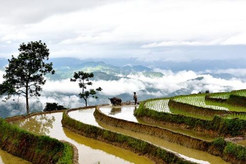 Mùa 'săn' mây ở Na Hang