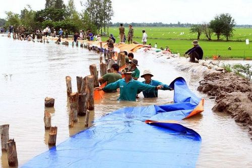 40% diện tích Đồng bằng sông Cửu Long có nguy cơ bị ngập nước