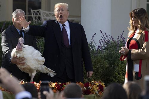 TT Trump đùa về điều tra luận tội khi ân xá cho hai con gà tây