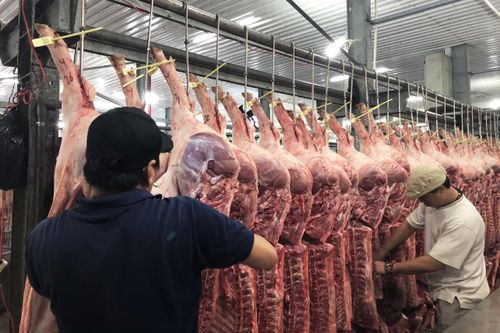 Lo thiếu thịt heo dịp Tết Canh Tý, Đồng Nai đẩy mạnh tái đàn