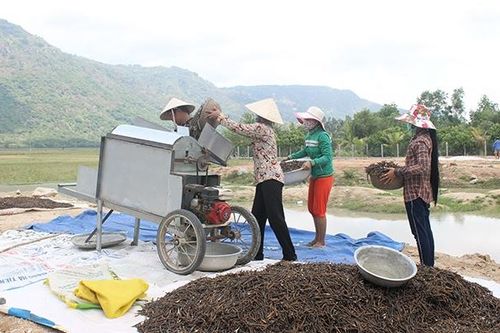 Phum, sóc đổi thay nhờ Chương trình 135