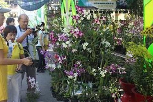 Khai mạc tuần lễ sinh vật cảnh TP Hồ Chí Minh năm 2019