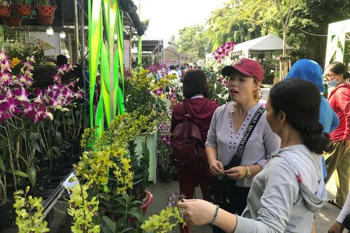 Khai mạc tuần lễ sinh vật cảnh TPHCM