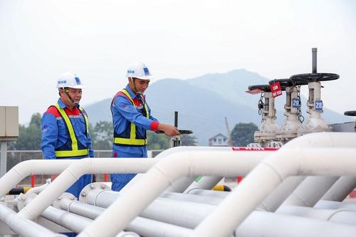 Xăng dầu chuẩn cho người Việt (Kỳ I)