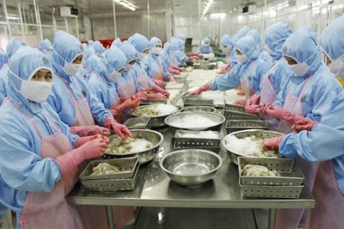 Xuất khẩu tôm dự kiến đạt 3,4 tỷ USD trong năm 2019