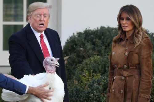 Ông Trump 'đá xoáy' phe Dân chủ trong lễ xá tội gà tây