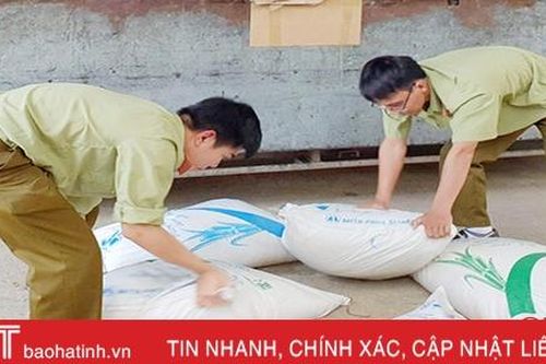 Thu giữ 5 tấn đường bất hợp pháp vận chuyển qua Hà Tĩnh