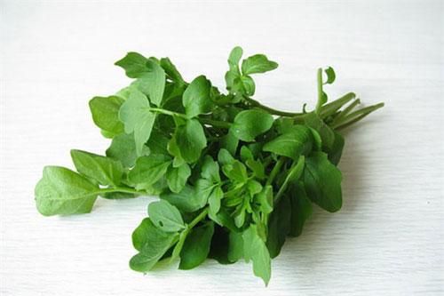 10 loại rau có ít calo nhưng giá trị dinh dưỡng rất cao