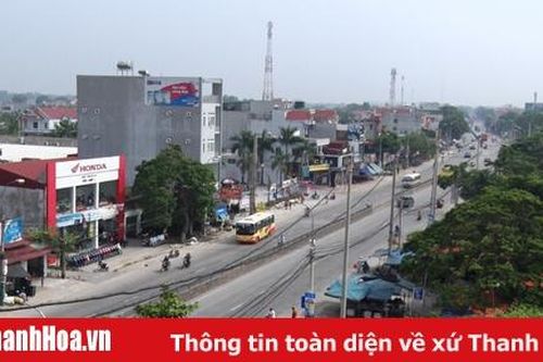 Gần 94% cử tri huyện Tĩnh Gia đồng ý với việc thành lập thị xã Nghi Sơn