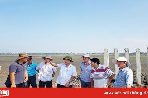 Tri Tôn đẩy nhanh tiến độ xây dựng cầu nông thôn