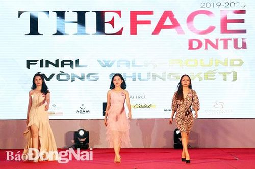 Chùm tin Giáo dục