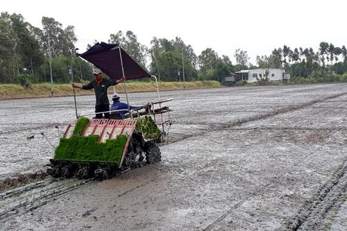 Các mô hình sản xuất hiệu quả góp phần phát triển kinh tế nông nghiệp
