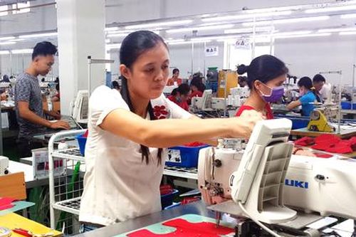 Ngành Thuế Ninh Bình: Triển khai nhiều giải pháp, phấn đấu hoàn thành vượt chỉ tiêu thu ngân sách