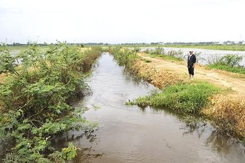 Cần đầu tư hoàn thiện hệ thống tiêu úng Đông Lương - Đông Lễ