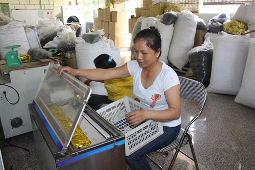 Hỗ trợ máy móc, thiết bị cho Hợp tác xã Chè La Bằng