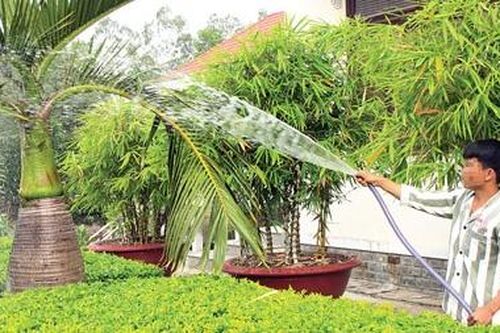 Những mô hình giúp người lầm lỗi hòa nhập hiệu quả