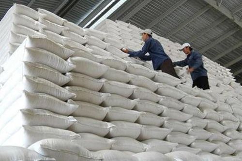 Gạo nhập kho dự trữ quốc gia phải là gạo mới