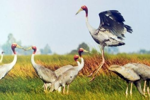 Kiên Giang đầu tư phát triển và xây dựng kết cấu hạ tầng kinh tế - xã hội vùng ven biển, hải đảo