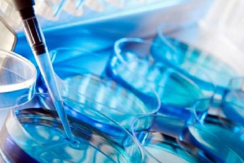 Quy định cần biết về sinh con bằng kỹ thuật thụ tinh trong ống nghiệm