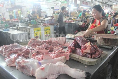Thừa Thiên Huế: Dự kiến thiếu khoảng 25% nguồn cung thịt lợn dịp Tết