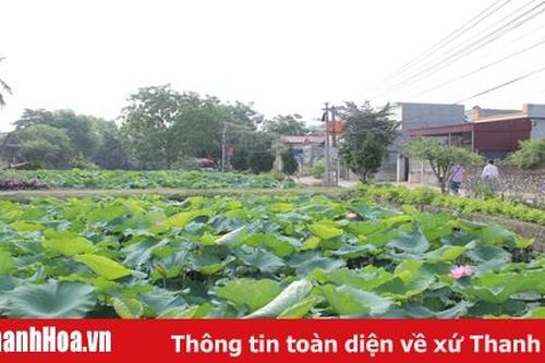 Công nhận 2 xã đạt chuẩn nông thôn mới nâng cao