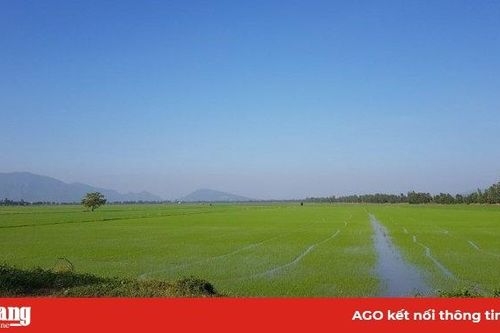 Liên kết tiêu thụ các sản phẩm chủ lực