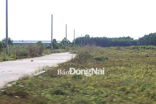 Để không còn các dự án 'ma'