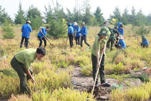 Những 'lá chắn xanh' nơi cửa biển
