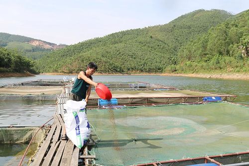Phát triển thủy sản theo hướng tập trung