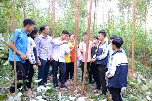 Giờ học thực tế bổ ích
