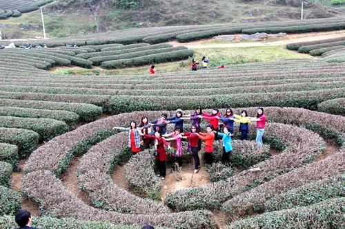 'Viên ngọc xanh' của núi rừng Tây Bắc