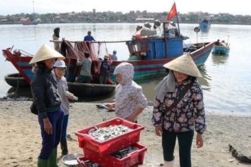 Thủ tục bảo hiểm nhiêu khê khiến ngư dân gặp khó