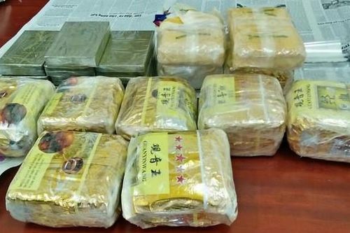 Giấu 10 bánh heroin, 9 kg ma túy đá dưới mái ngói