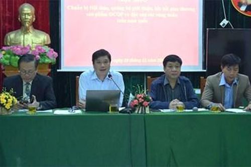 Giới thiệu, quảng bá ẩm thực các vùng miền tại phố đi bộ Trịnh Công Sơn