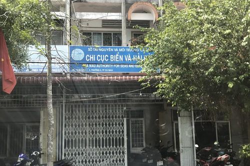 Buộc thôi việc nữ Phó phòng đi nước ngoài rồi không về