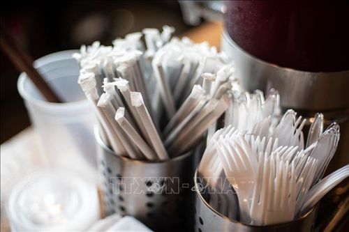 Thành phố Vancouver cấm sử dụng ống hút nhựa và túi ni lông từ năm 2020