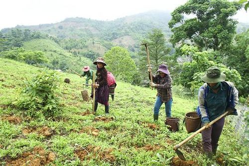 Diện mạo mới ở vùng đồng bào dân tộc thiểu số và miền núi Hướng Hóa