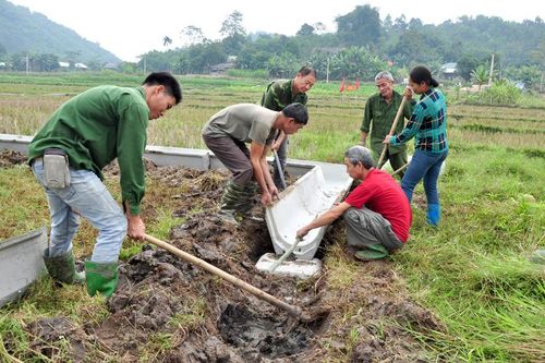 Nông dân Đội Bình tích cực tham gia lắp đặt mương bê tông