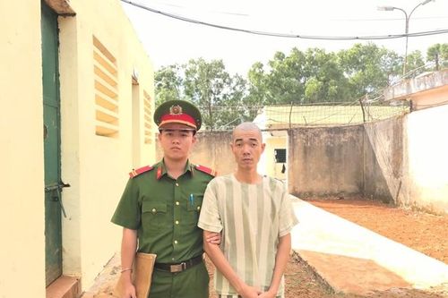 Bắt thêm đối tượng trong vụ hủy hoại rừng thông phòng hộ cảnh quan QL14
