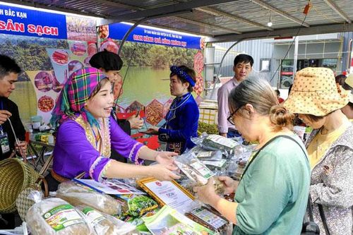 Phát triển chuỗi liên kết nông sản giữa Hà Nội với các địa phương: Các bên cùng nỗ lực