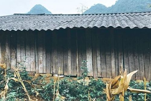 Cao Bằng: Người dân Kéo Sỹ mong lắm một gian nhà cho trẻ học